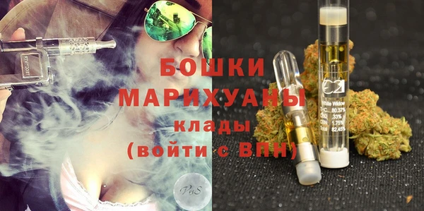 ПСИЛОЦИБИНОВЫЕ ГРИБЫ Горнозаводск