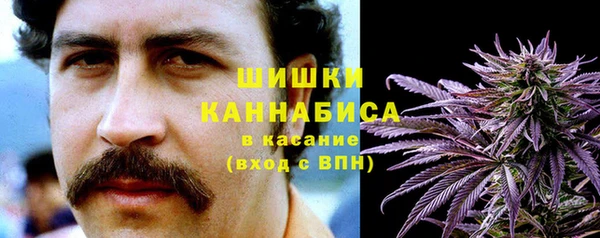 спиды Горно-Алтайск