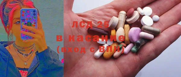 ПСИЛОЦИБИНОВЫЕ ГРИБЫ Горнозаводск