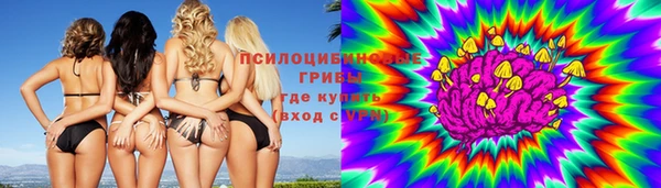 спиды Горно-Алтайск