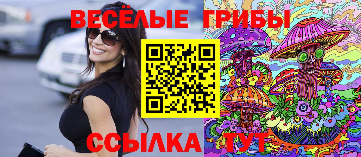 Псилоцибиновые грибы прущие грибы Москва