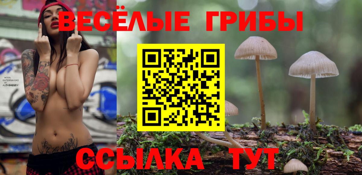 Москва  Псилоцибиновые грибы Psilocybine cubensis  Вход с VPN  Псилоцибиновые грибы прущие грибы 
